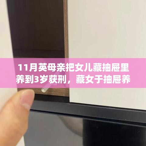 英母亲抽屉养女至三岁获刑，极端案例的反思与启示