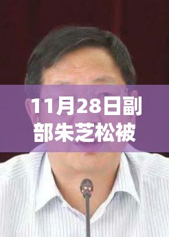 副部朱芝松被查事件，深度解析与多方视角审视，我的观点及身边人物反应