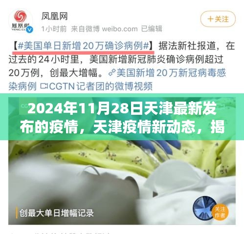 天津疫情最新动态，揭秘特殊时期下的抗疫之路（2024年11月28日更新）