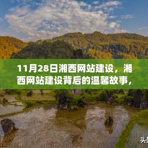 湘西网站建设背后的温馨故事，友谊、梦想与陪伴的秋日佳话