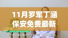 11月罗军丁涵保安免费课程实操指南，从入门到精通的全方位指南