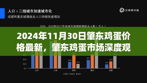 肇东鸡蛋市场最新动态，深度观察与最新价格动态（肇东鸡蛋市场，最新鸡蛋价格）