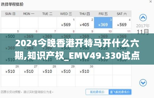 2024今晚香港开特马开什么六期,知识产权_EMV49.330试点版