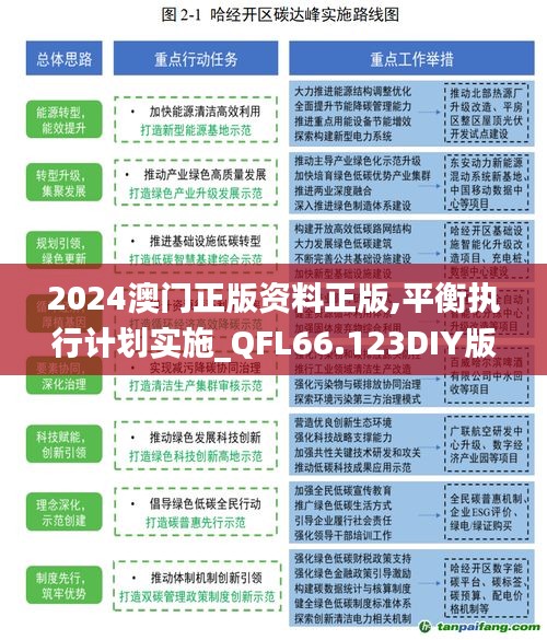 2024澳门正版资料正版,平衡执行计划实施_QFL66.123DIY版