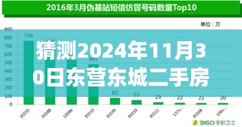 揭秘2024年11月30日东营东城二手房市场，最新出售信息深度解析与预测