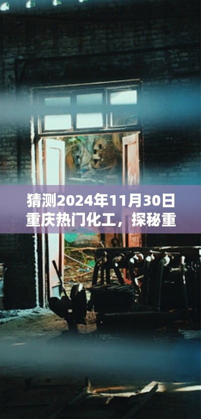 探秘重庆小巷深处的化工瑰宝，特色小店展望未来的无限可能（2024年11月30日）