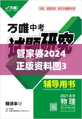 管家婆2024正版资料图38期,安全性方案执行_ZUA66.224迅捷版