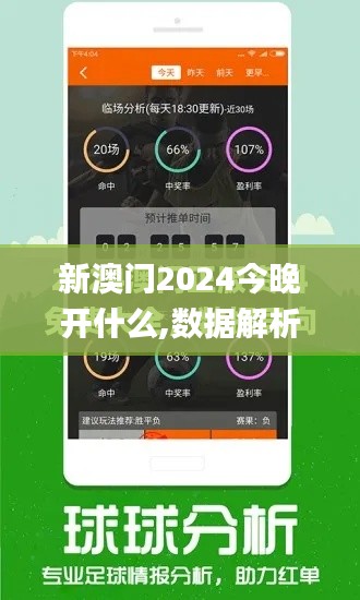 新澳门2024今晚开什么,数据解析引导_自由版EWT69.190