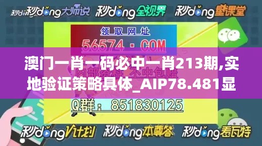 澳门一肖一码必中一肖213期,实地验证策略具体_AIP78.481显示版