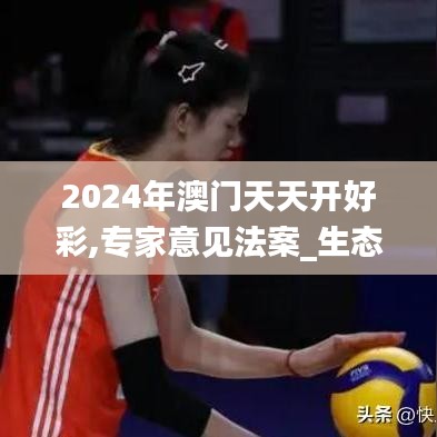 2024年澳门天天开好彩,专家意见法案_生态版WBC34.581