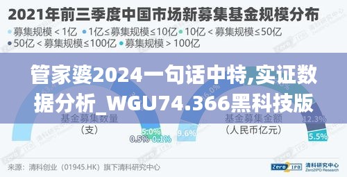 管家婆2024一句话中特,实证数据分析_WGU74.366黑科技版