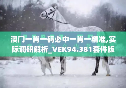 澳门一肖一码必中一肖一精准,实际调研解析_VEK94.381套件版