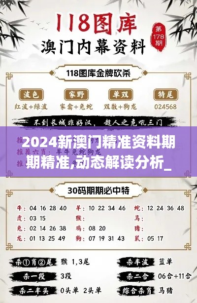 2024新澳门精准资料期期精准,动态解读分析_XCJ86.389外观版