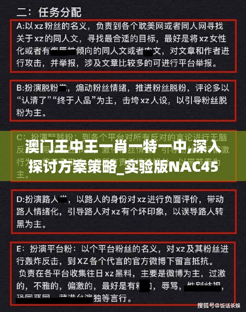 澳门王中王一肖一特一中,深入探讨方案策略_实验版NAC45.819