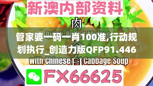 管家婆一码一肖100准,行动规划执行_创造力版QFP91.446