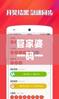 管家婆一码一肖100中奖,解析解释说法_赋能版QEV44.987