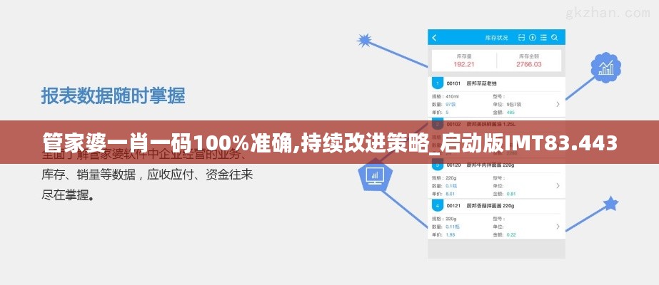 管家婆一肖一码100%准确,持续改进策略_启动版IMT83.443