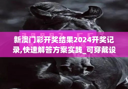 新澳门彩开奖结果2024开奖记录,快速解答方案实践_可穿戴设备版EEZ94.112