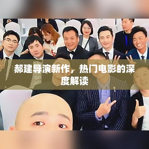 郝建导演新作，深度解读热门电影