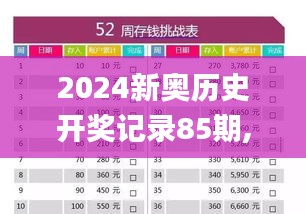 2024新奥历史开奖记录85期,稳固计划实施_TYX79.231迅捷版