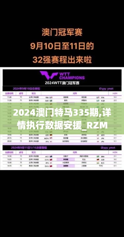 2024澳门特马335期,详情执行数据安援_RZM90.436智力版