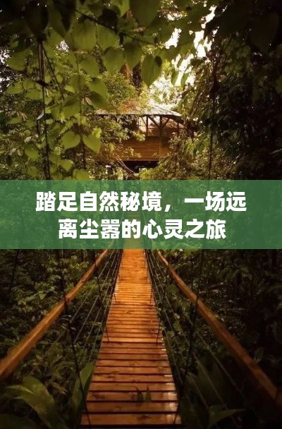 自然秘境的心灵之旅，远离尘嚣的探险之旅