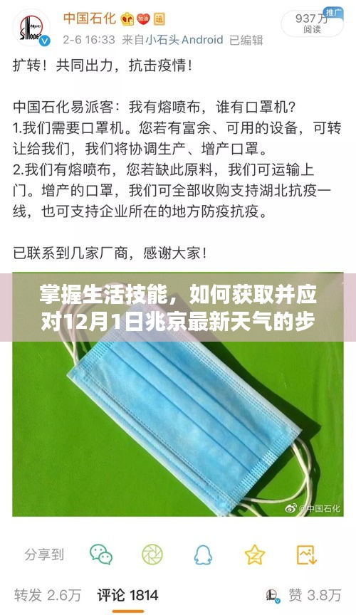 掌握生活技能，兆京最新天气指南（适合初学者与进阶用户）教你如何应对12月1日天气挑战