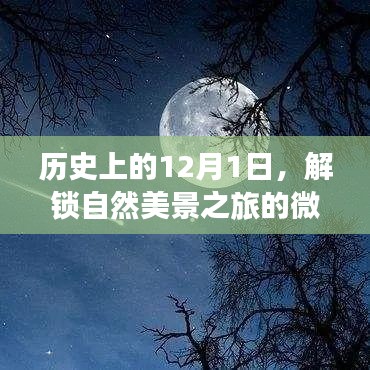 揭秘历史中的12月1日，自然美景之旅微信群聊开启之门