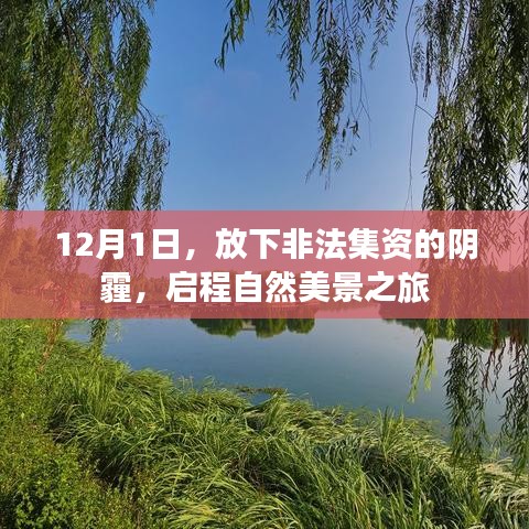 网站案例 第367页