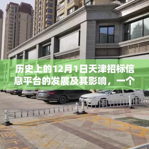 多维视角下的天津招标信息平台发展与影响，历史回顾与观点分析