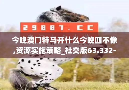 今晚澳门特马开什么今晚四不像,资源实施策略_社交版63.332-4