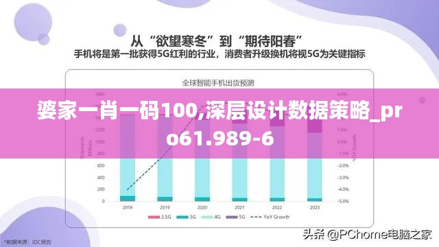 婆家一肖一码100,深层设计数据策略_pro61.989-6