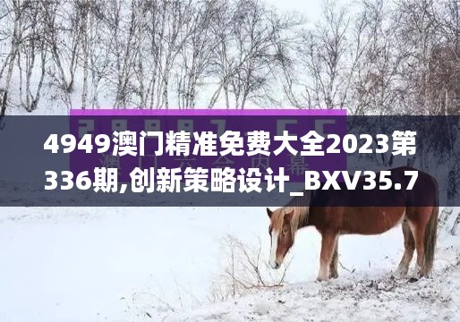 4949澳门精准免费大全2023第336期,创新策略设计_BXV35.792人工智能版