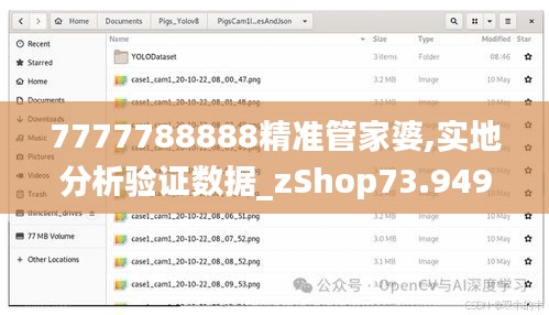 7777788888精准管家婆,实地分析验证数据_zShop73.949-1