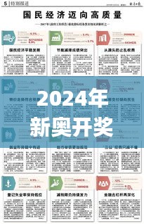 2024年新奥开奖结果,实践策略实施解析_R版87.637-1