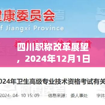 四川职称改革展望，最新动态与影响分析（2024年12月）