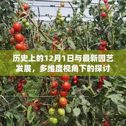 多维度视角下的园艺发展，历史与最新趋势的融合探讨