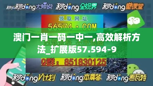 澳门一肖一码一中一,高效解析方法_扩展版57.594-9