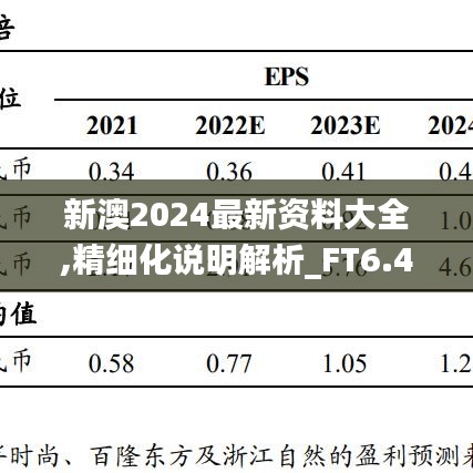 新澳2024最新资料大全,精细化说明解析_FT6.430-1