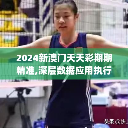 2024新澳门天天彩期期精准,深层数据应用执行_尊享版10.532-3