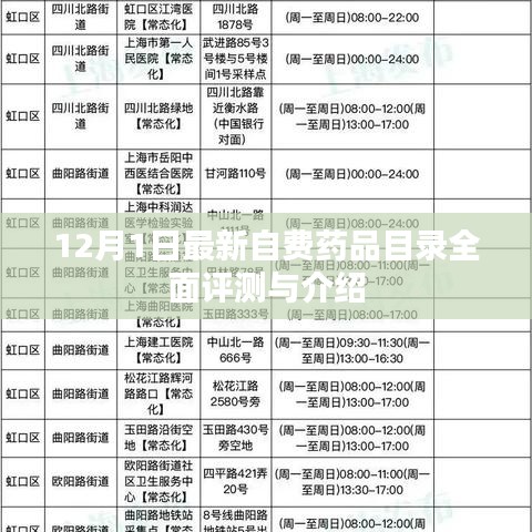 自费药品目录全面评测与介绍（最新12月版）