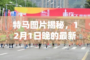 特马图片最新动态，揭秘12月1日晚的更新及其时代影响力