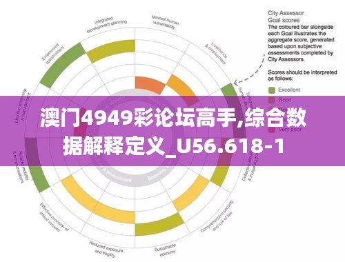 澳门4949彩论坛高手,综合数据解释定义_U56.618-1