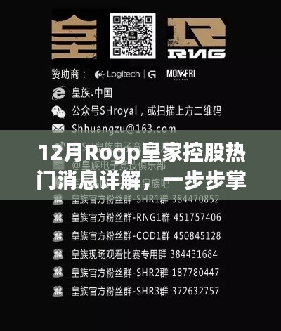 Rogp皇家控股最新动态详解，掌握最新消息与关键操作指南