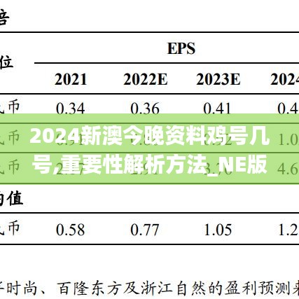 2024新澳今晚资料鸡号几号,重要性解析方法_NE版74.493-9