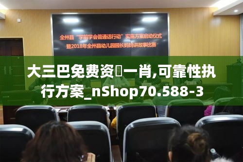 大三巴免费资枓一肖,可靠性执行方案_nShop70.588-3