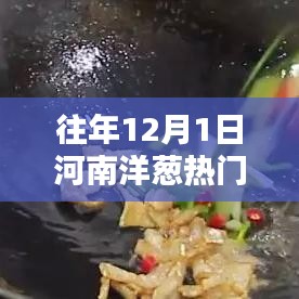 河南洋葱热门价格行情深度解析——历年12月1日市场分析