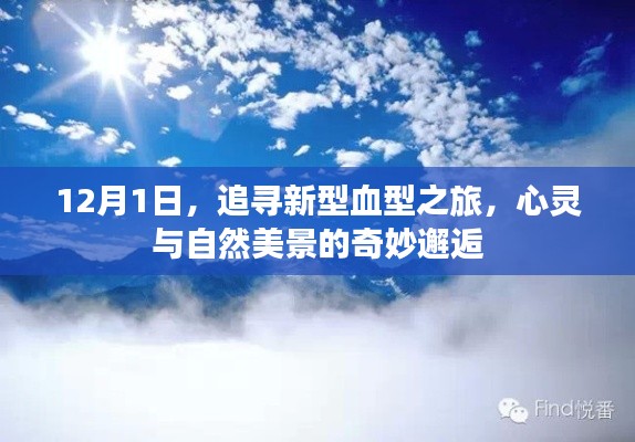 追寻新型血型之旅，心灵与美景的奇妙相遇