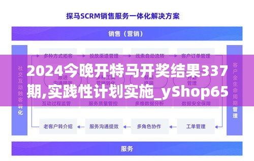 2024今晚开特马开奖结果337期,实践性计划实施_yShop65.501-4